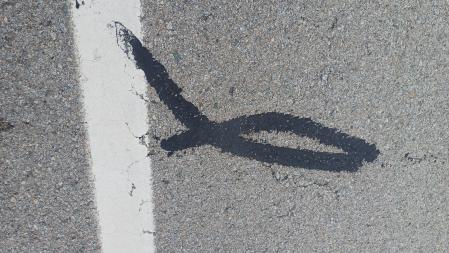 El pez de alquitrán.