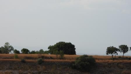 Reto visual: ¿Puedes localizar al aguilucho?