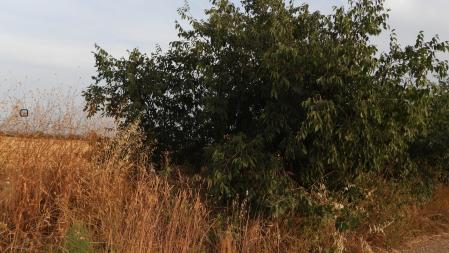 Solución al Reto visual con la posición de la mariposa señalizada.