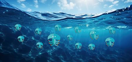 En verano puedes encontrar medusas en cualquier playa.