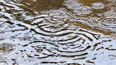 Charco en Palafrugell.