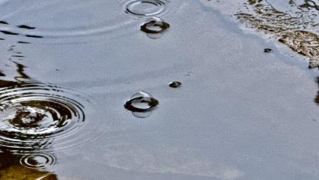 Charco en Palafrugell.