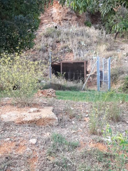 Coves de Sant Oleguer.