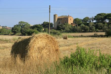 Campo de balas de paja en Palafrugell.