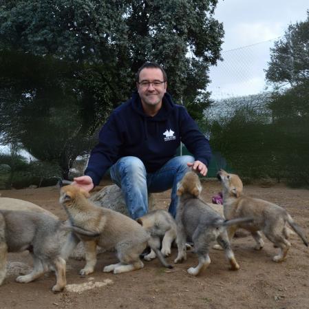 Los perros que sufren ansiedad por separación pueden presentar cambios de conducta, según Castilla.&nbsp;