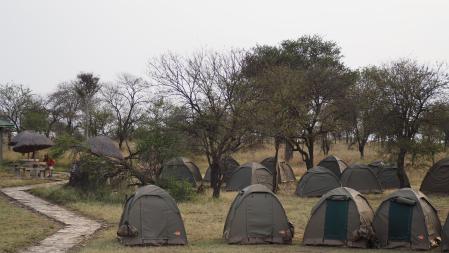 Campamento de los viajeros.