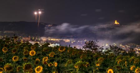 Una noche de fuegos artificiales contrasta con el paisaje de girasoles.