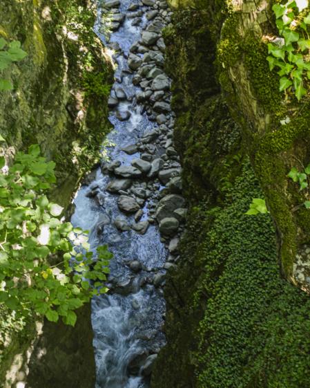 Piedras húmedas de un río de montaña.