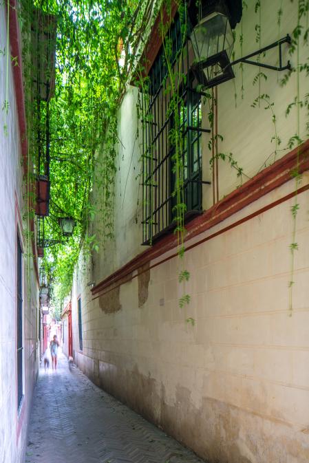 Una calle estrecha en el Antiguo Barrio Judío de Sevilla&nbsp;