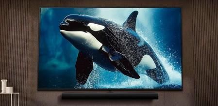 Televisión de 65 pulgadas mostrando una orca