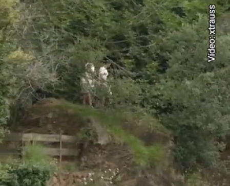 Imagen de la familia asomada al recinto de los lobos