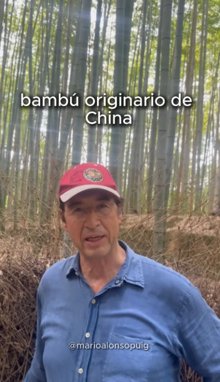 Mario Alonso Puig en Instagram