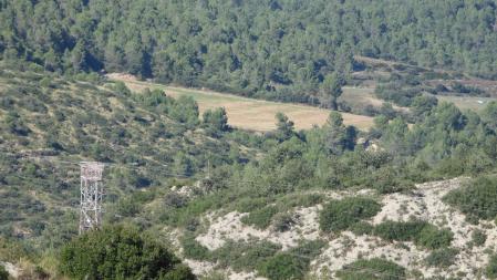 Reto visual: ¿Puedes ver la Torre del Cap Xic?