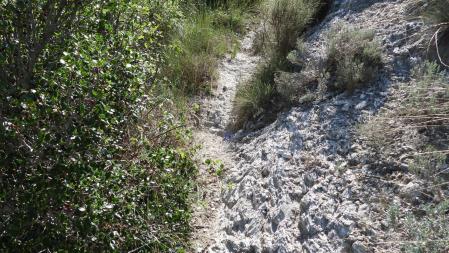 Solución al Reto con la posición de la mariposa señalizada.