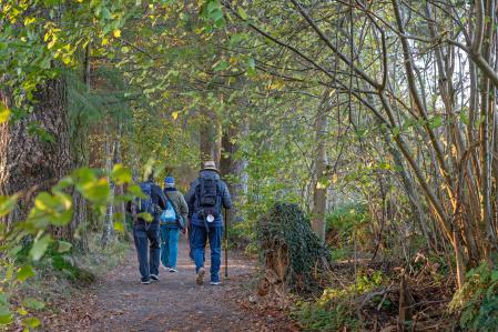 Peregrinos en la etapa entre Roncesvalles-Zubiri
