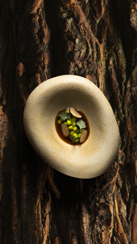 Garbanzo en verde con trufa de verano y chenopodium