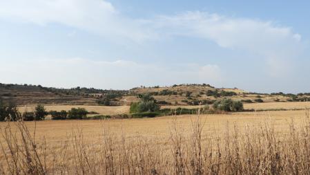 Solución al Reto visual de los aguiluchos.