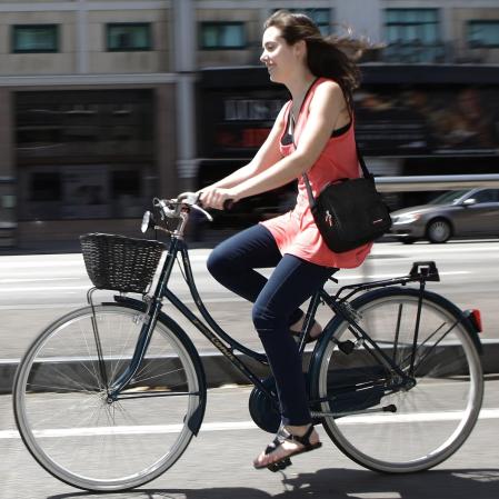 Bolsa porta alimentos