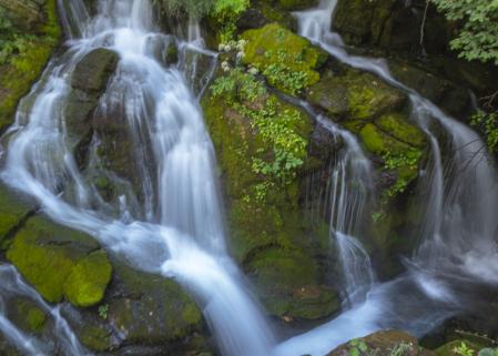 Fuentes del Llobregat.