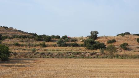 Solución al Reto visual del conejo.