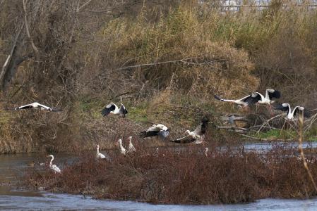 Vigilancia en Soses, en Lleida, en una imagen de archivo
