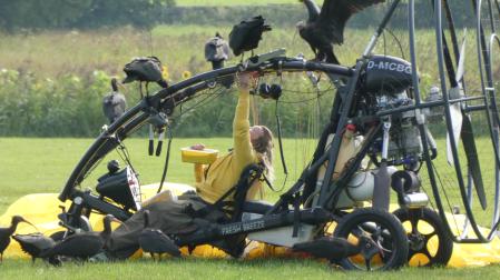 Las aves siguen en todo momento a las biólogas-madres adoptivas, con jersey amarillo, hasta que despegan en ultraligero y los ibis levantan el vuelo