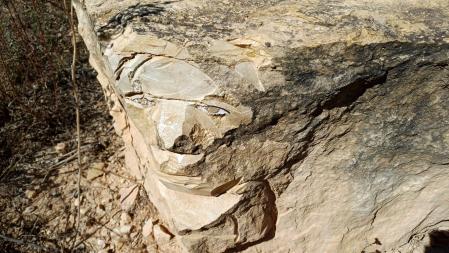 Ruta del Camí dels Set Sentits de Marta Pruna.