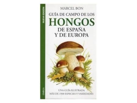 Guía ilustrada de las setas de España