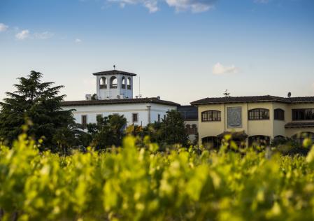 Vallformosa de Vilobí del Penedès vuelve a ser la mejor bodega catalana&nbsp;