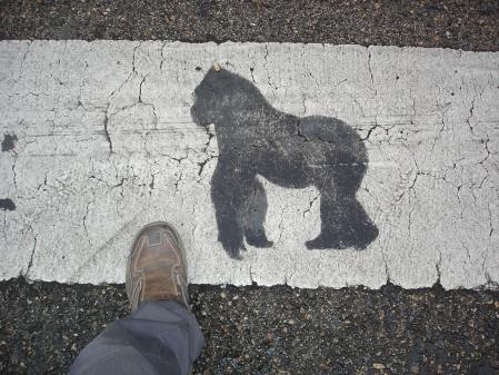 Gorila dibujado en el paso de cebra.