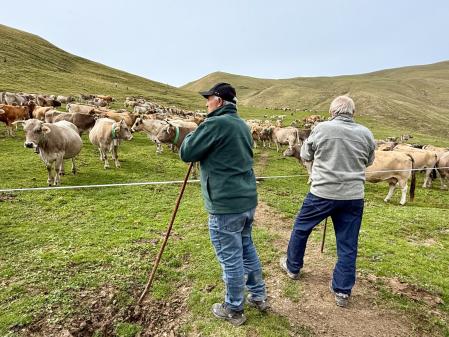 Dos ganaderos con sus rebaños.