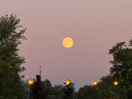 La luna como si fuera un farol más del parque.