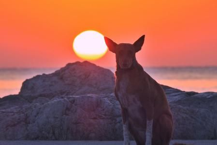 Amanecer de otoño en Fuengirola.