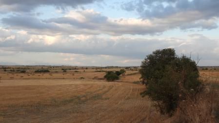 Reto visual: ¿Puedes ver el pozo que aparece en esta foto?