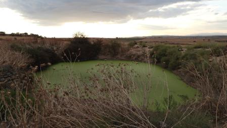 La posición del conejo señalizada.