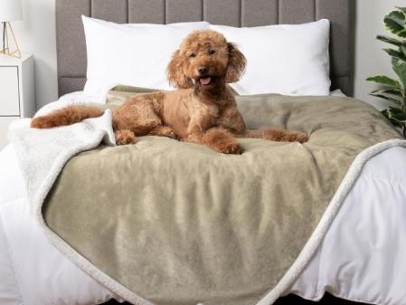 PetAmi - Manta Impermeable para Cama tamaño Queen, Perros Grandes y extragrandes, para sofá, protección a Prueba de Fugas, Forro Polar Sherpa, Reversible, Suave, Lavable, 229 x 229 cm, Color Beis