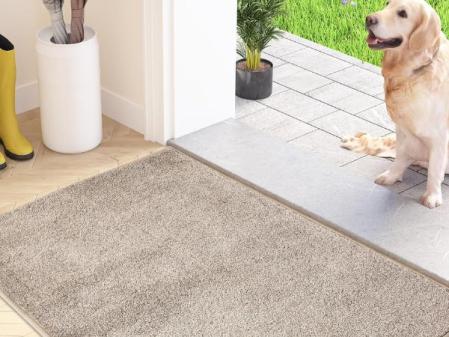 FCSDETAIL Alfombra Atrapapolvo, Alfombra Antideslizante Lavable en Lavadora, Felpudo de Entrada con Microfibras Suaves Absorbentes para Perro, Entrada, Puerta y Pasillo