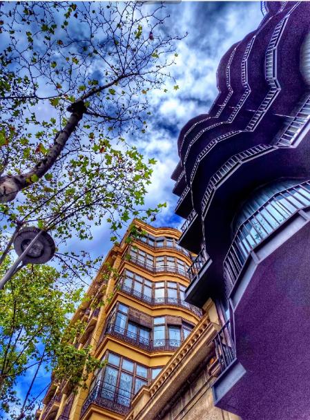 Diálogo entre árboles y arquitectura en el Eixample de Barcelona.
