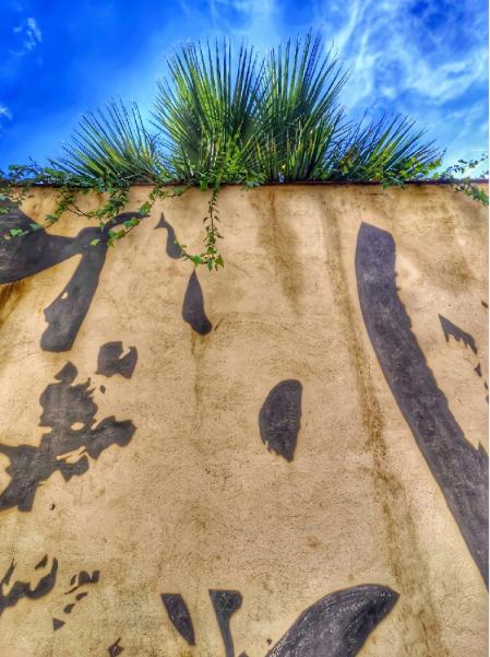 Diálogo entre árboles y arquitectura en el Eixample de Barcelona.