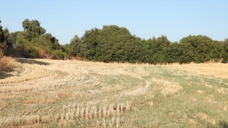 La posición de los dos conejos aparece señalada en la imagen
