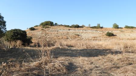 Reto visual: ¿Eres capaz de ver al conejo?