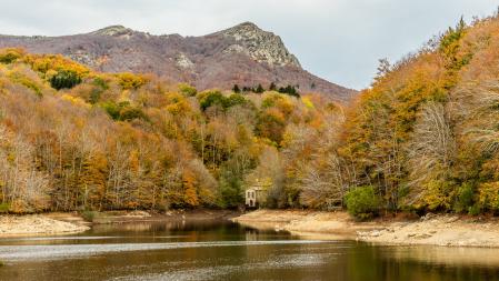 Otoño en el Montseny.