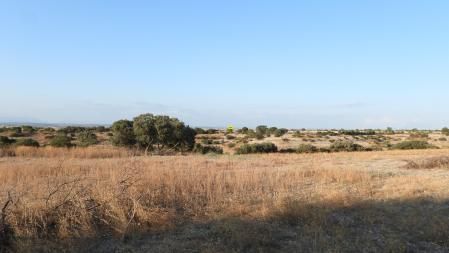 Solución al Reto visual de los aguiluchos.