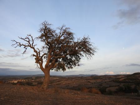 Reto visual: ¿Puedes señalizar la posición de la luna?