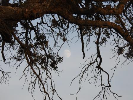 La luna que buscamos.