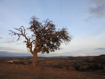 Solución al Reto visual de la luna.