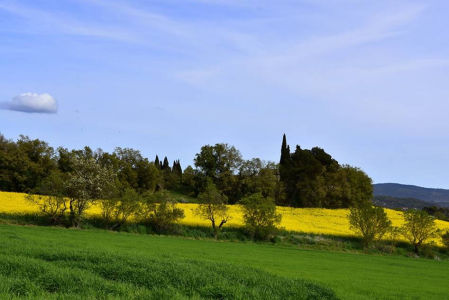 Vista de los campos cercanos a Rocafort de Queralt.