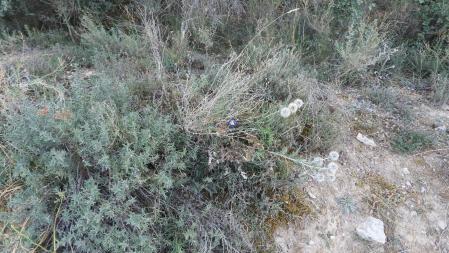 Solución al Reto visual.