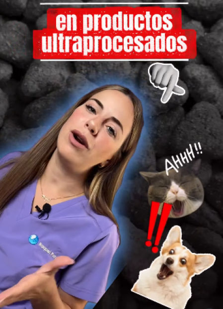 La experta en nutrición de perros y gatos, Raquel Pavo, asegura que el pienso nunca va a ser la mejor opción para la dieta de estas mascotas, que necesitan comer alimentos naturales