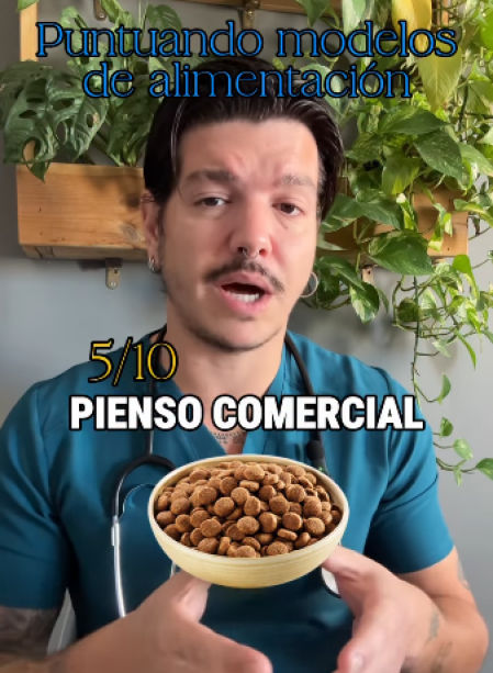 El veterinario Adrián Conde puntúa con un 5 sobre 10 las dietas para perros y gatos basadas en pienso